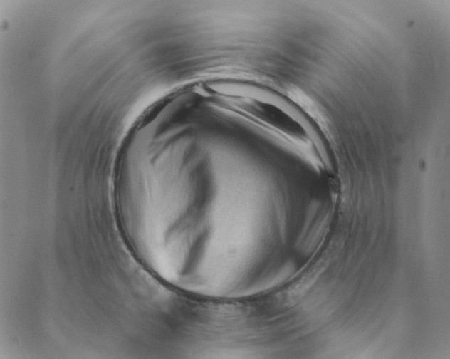 X0000089361334200707061040