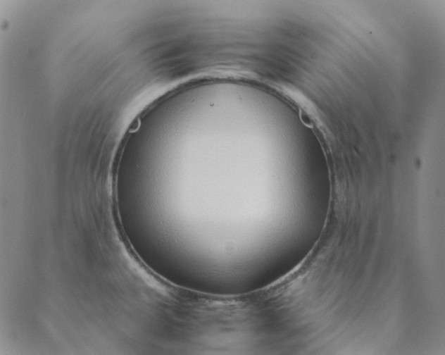 X0000089361335200707061040