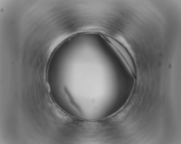 X0000089361336200707061040