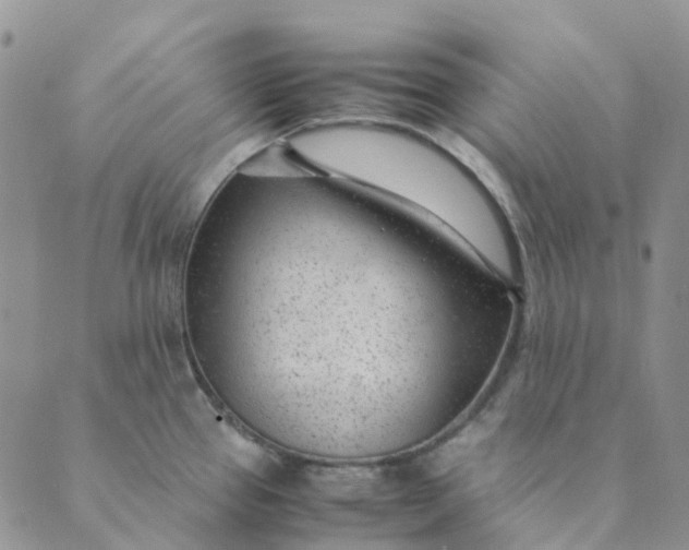 X0000089361337200707061040