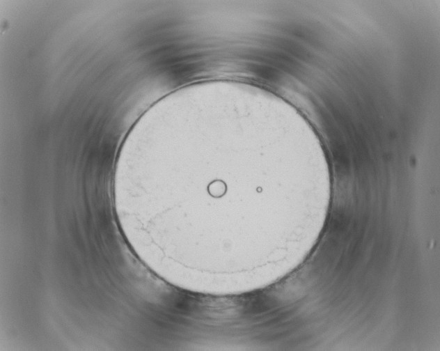 X0000089361338200707061040