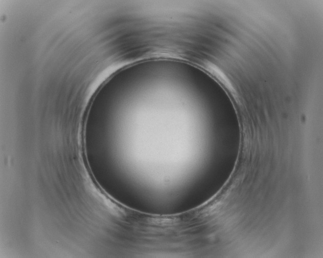 X0000089361339200707061040