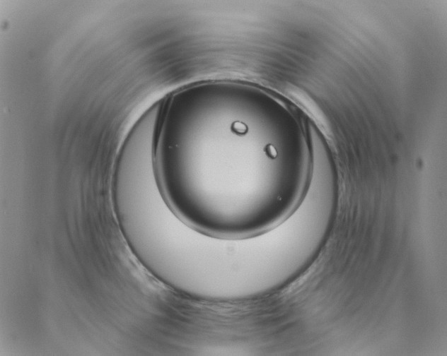 X0000089361340200707061040