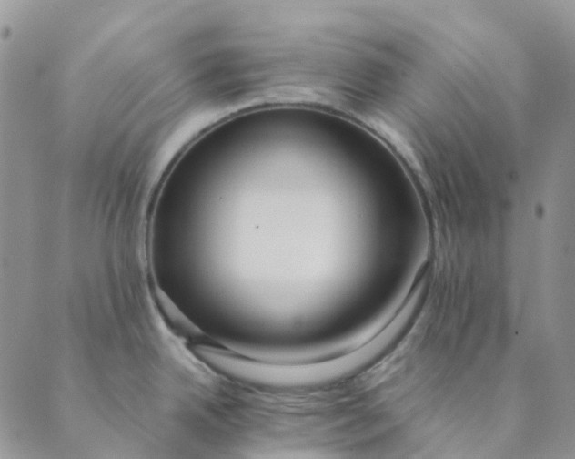 X0000089361342200707061040