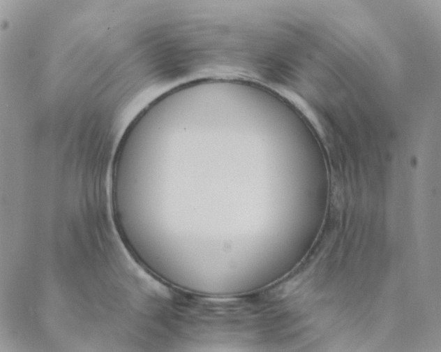 X0000089361343200707061040