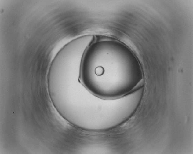 X0000089361344200707061040