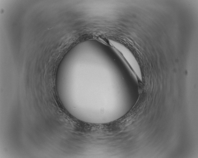 X0000089361345200707061039