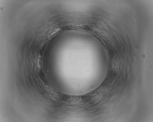 X0000089361346200707061039