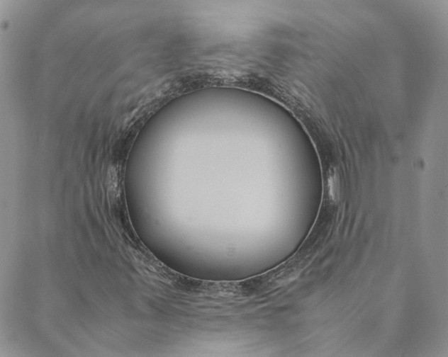 X0000089361347200707061039