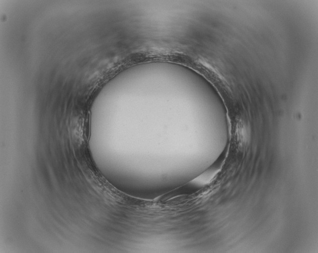 X0000089361348200707061039