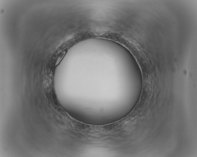 X0000089361349200707061039