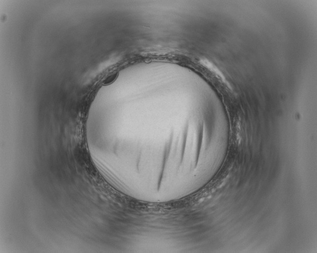 X0000089361350200707061039