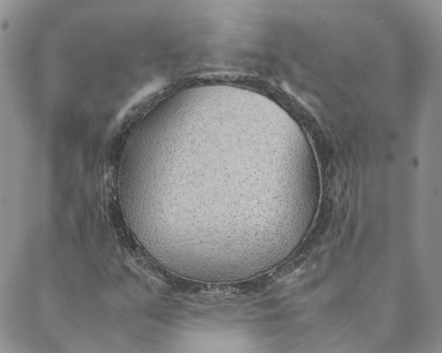 X0000089361351200707061039