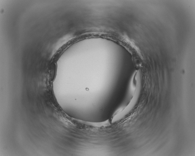 X0000089361352200707061039