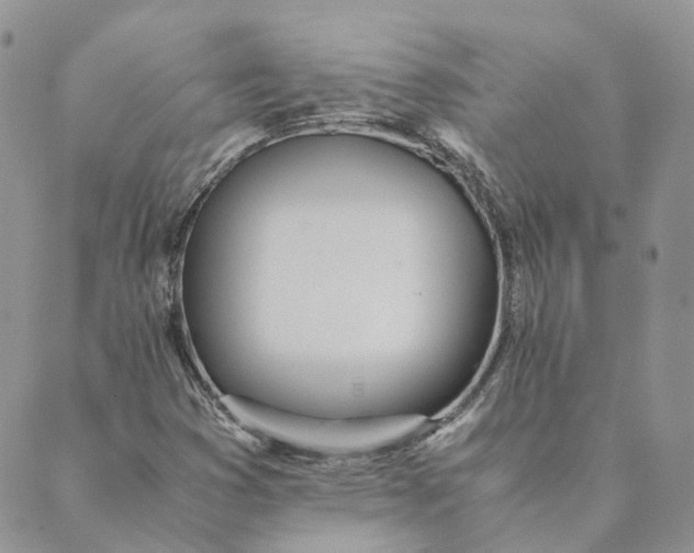 X0000089361353200707061039