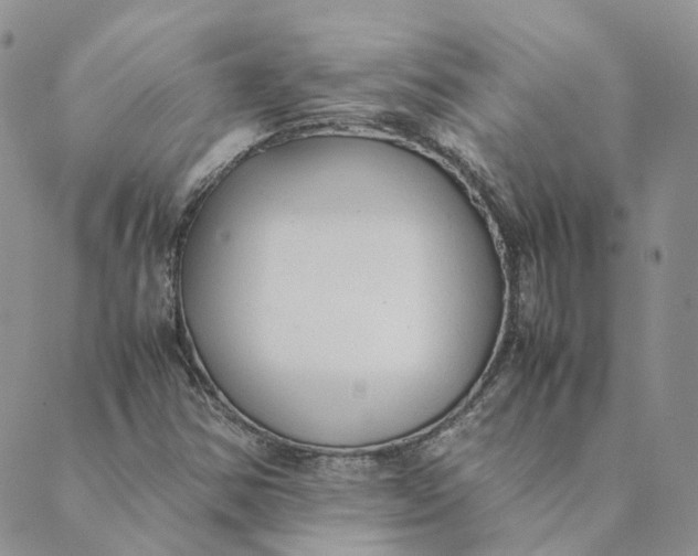 X0000089361354200707061039