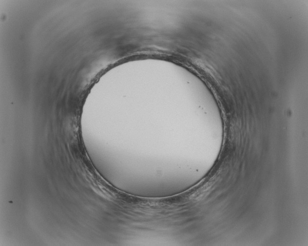 X0000089361355200707061039