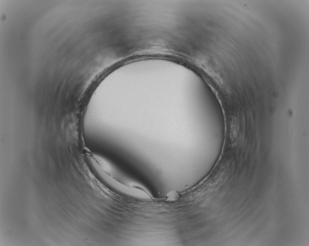 X0000089361356200707061039