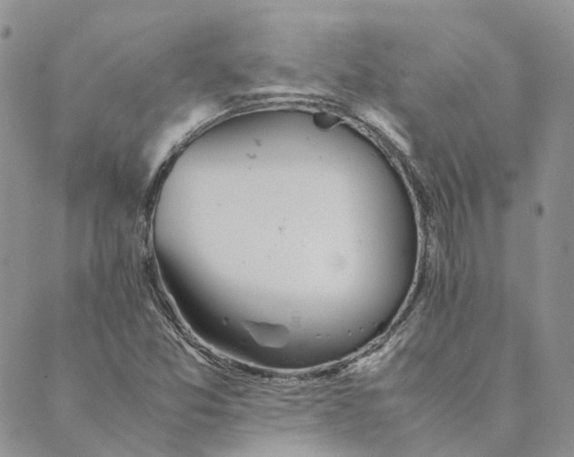 X0000089361357200707061039