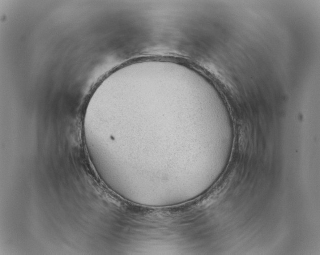 X0000089361358200707061039