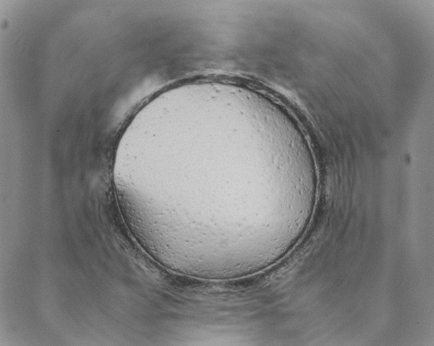 X0000089361359200707061039