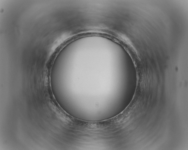 X0000089361360200707061039