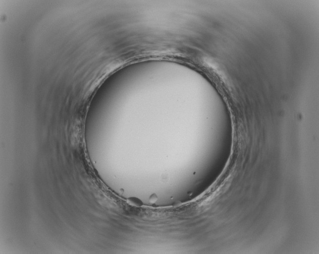 X0000089361361200707061039