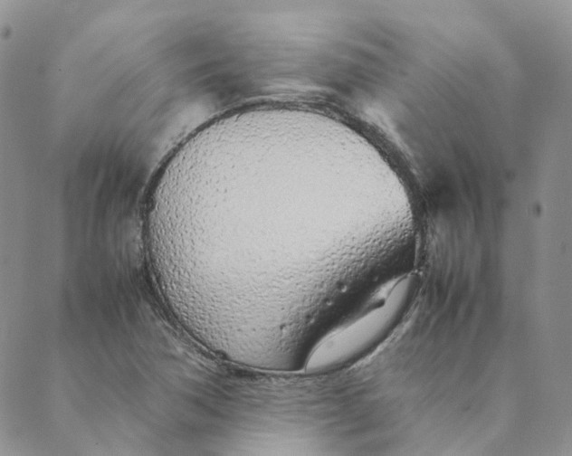 X0000089361362200707061039