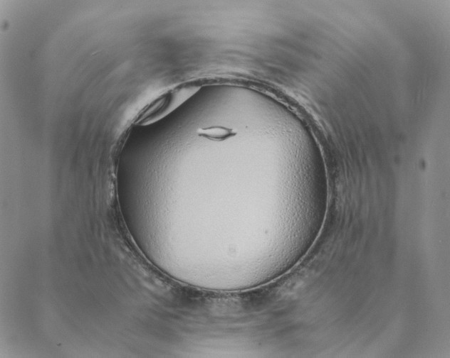 X0000089361363200707061039