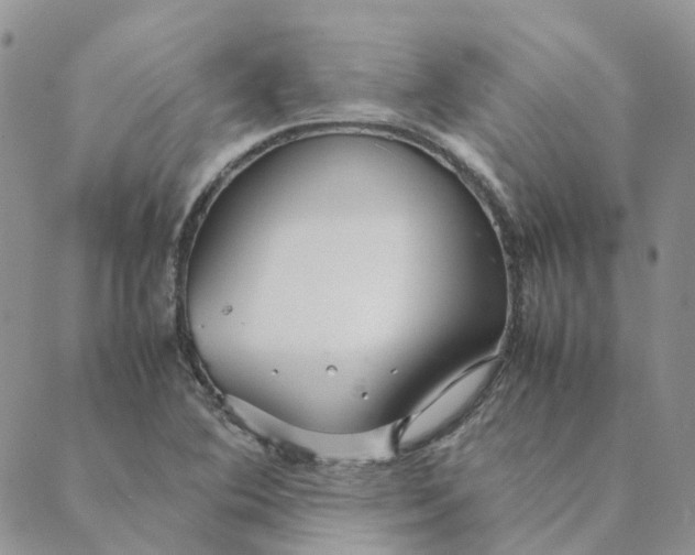 X0000089361364200707061039