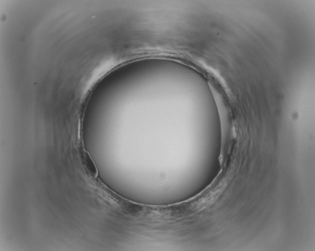 X0000089361365200707061039