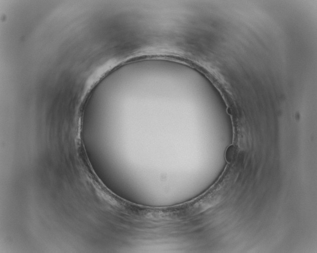 X0000089361366200707061039