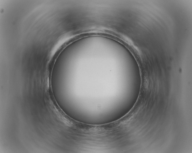 X0000089361368200707061039