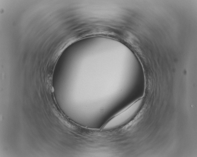 X0000089361369200707061039