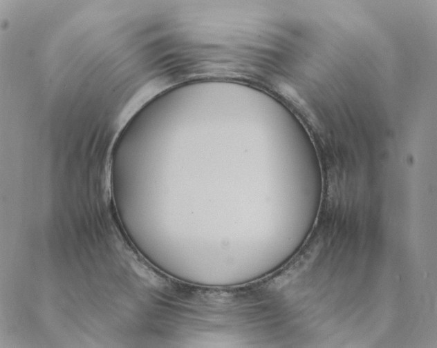 X0000089361370200707061039