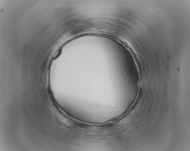 X0000089361371200707061039