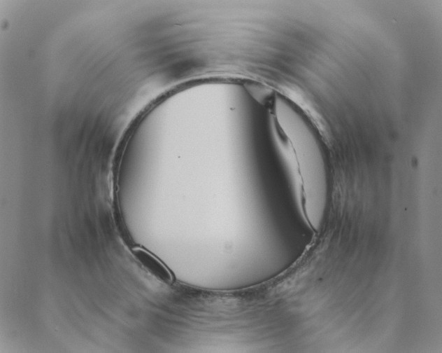 X0000089361372200707061039