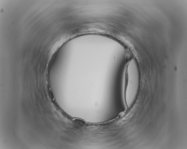 X0000089361373200707061039