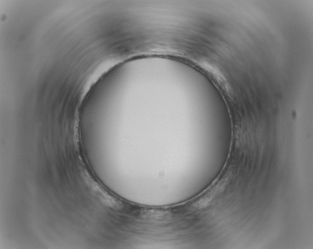 X0000089361374200707061039