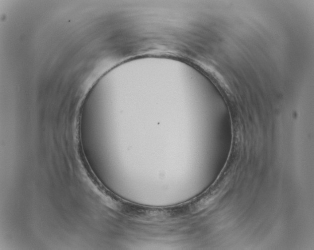 X0000089361375200707061039