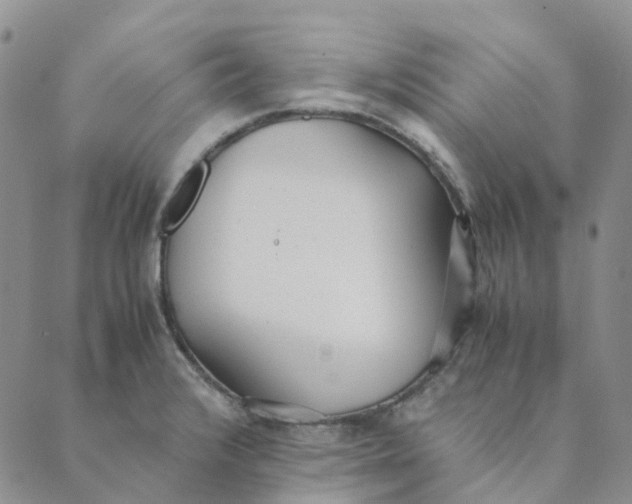 X0000089361376200707061039