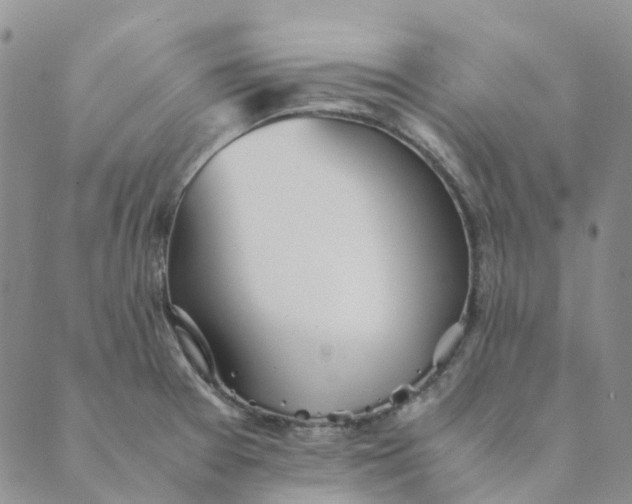 X0000089361377200707061039