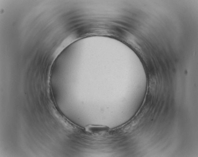 X0000089361378200707061039