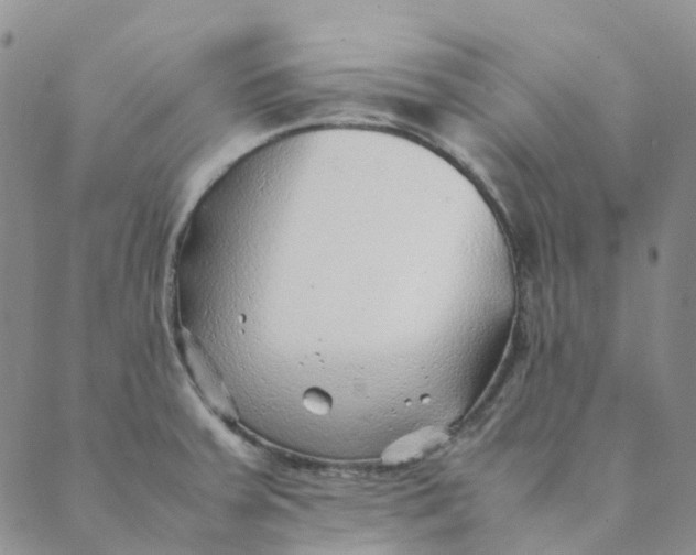 X0000089361379200707061039