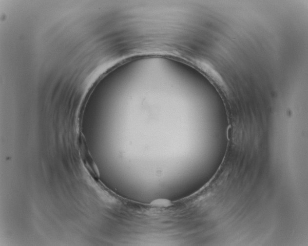 X0000089361380200707061038