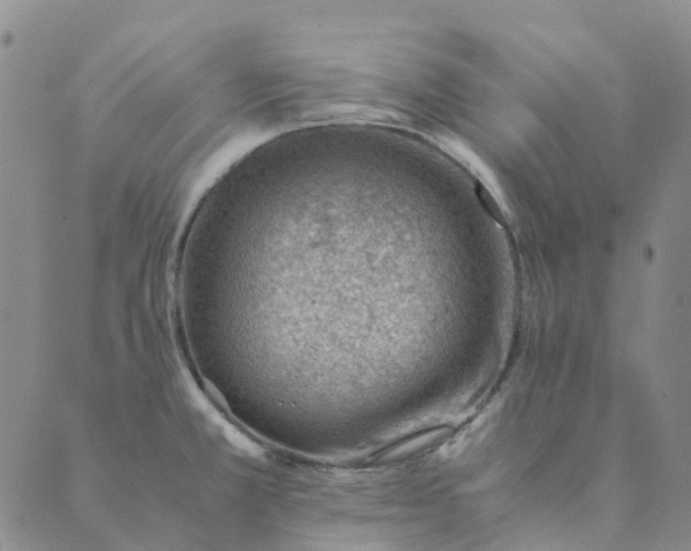 X0000089361381200707061038