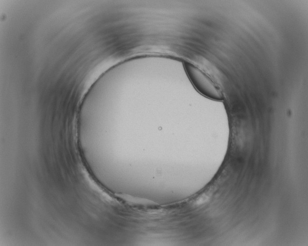 X0000089361382200707061038