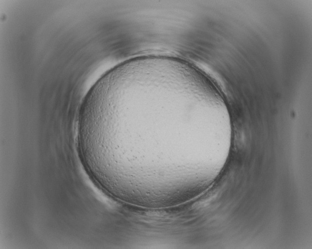 X0000089361383200707061038