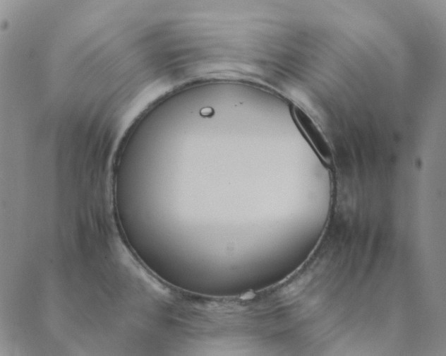 X0000089361384200707061038