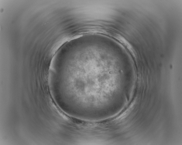 X0000089361385200707061038